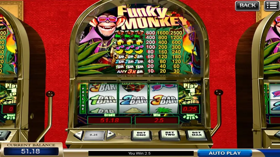 Funky Monkey payline with 1 BAR, 2 BAR and 3 BAR, a win of 2.5 at one coin of 0.25