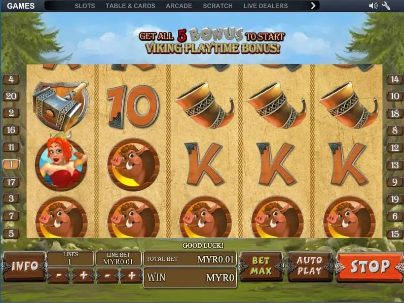 Viking Mania spin with a war hammer on reel 1 and a row of five boars along the bottom, under the Viking Playtime Bonus banner