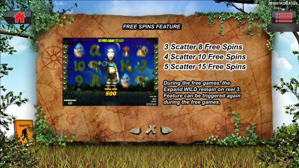 Free Spins Feature help: 8, 10 or 15 free spins and an expanded wild held on reel 3